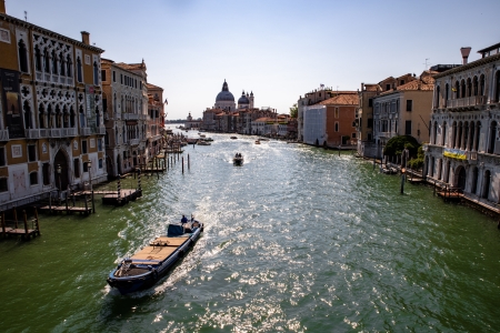 VENICE_2024_42